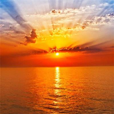 上下分的捕鱼app